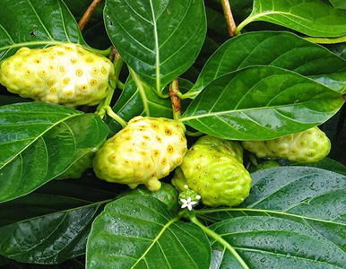 Hướng Dẫn Tạo Không Gian Bạn Không Bao Giờ Muốn Bỏ Lỡ