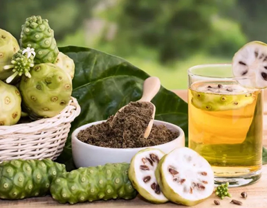 Hướng Dẫn Tạo Không Gian Bạn Không Bao Giờ Muốn Bỏ Lỡ